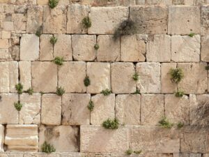 Kosel - 101