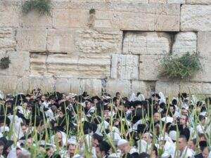 Sukkos Kosel - 107