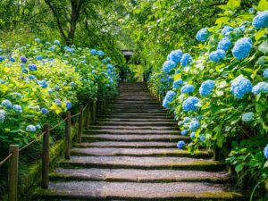 Flower Steps - 130