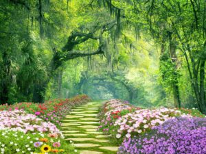 Garden Path - 125