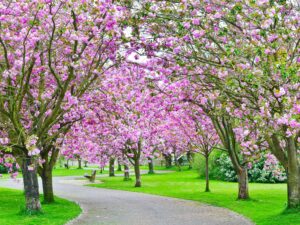 Walk in the Park - 123