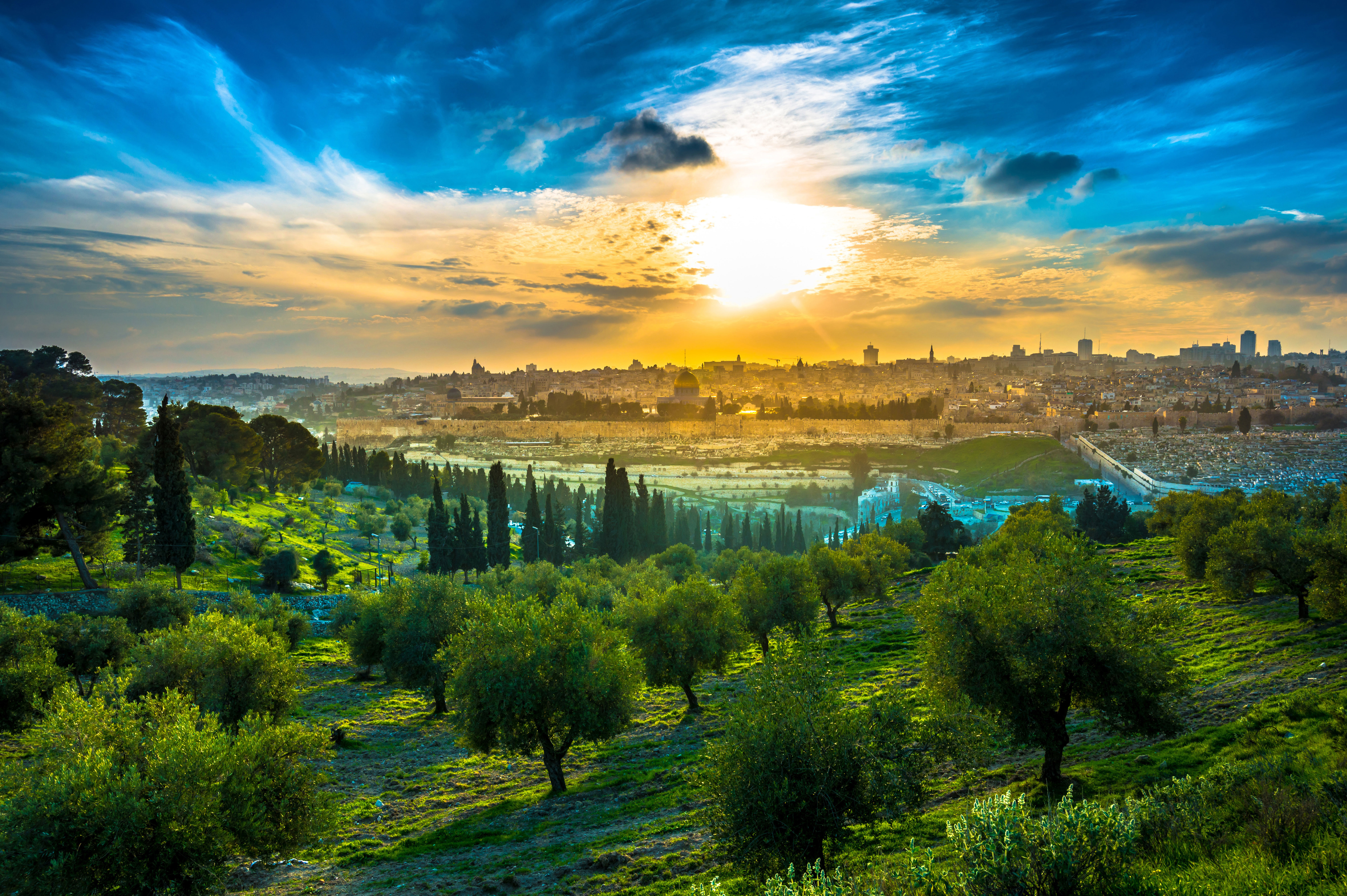 Jerusalem in Color – 117 | Sukkah Murals