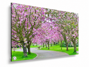 1757016958026 Walk in the ParkEdited copy 2 Acrylic Mockup